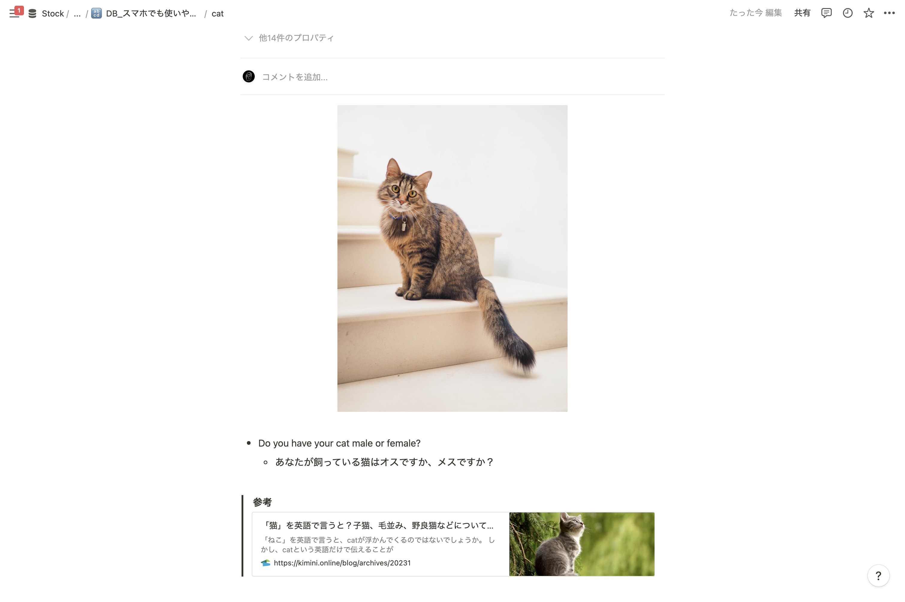単語帳のページ内には好きなだけ情報を詰め込める