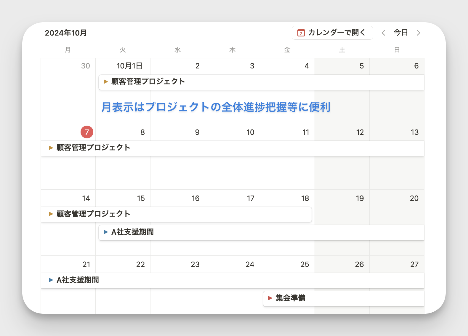 月表示はプロジェクトの全体進捗把握等に便利