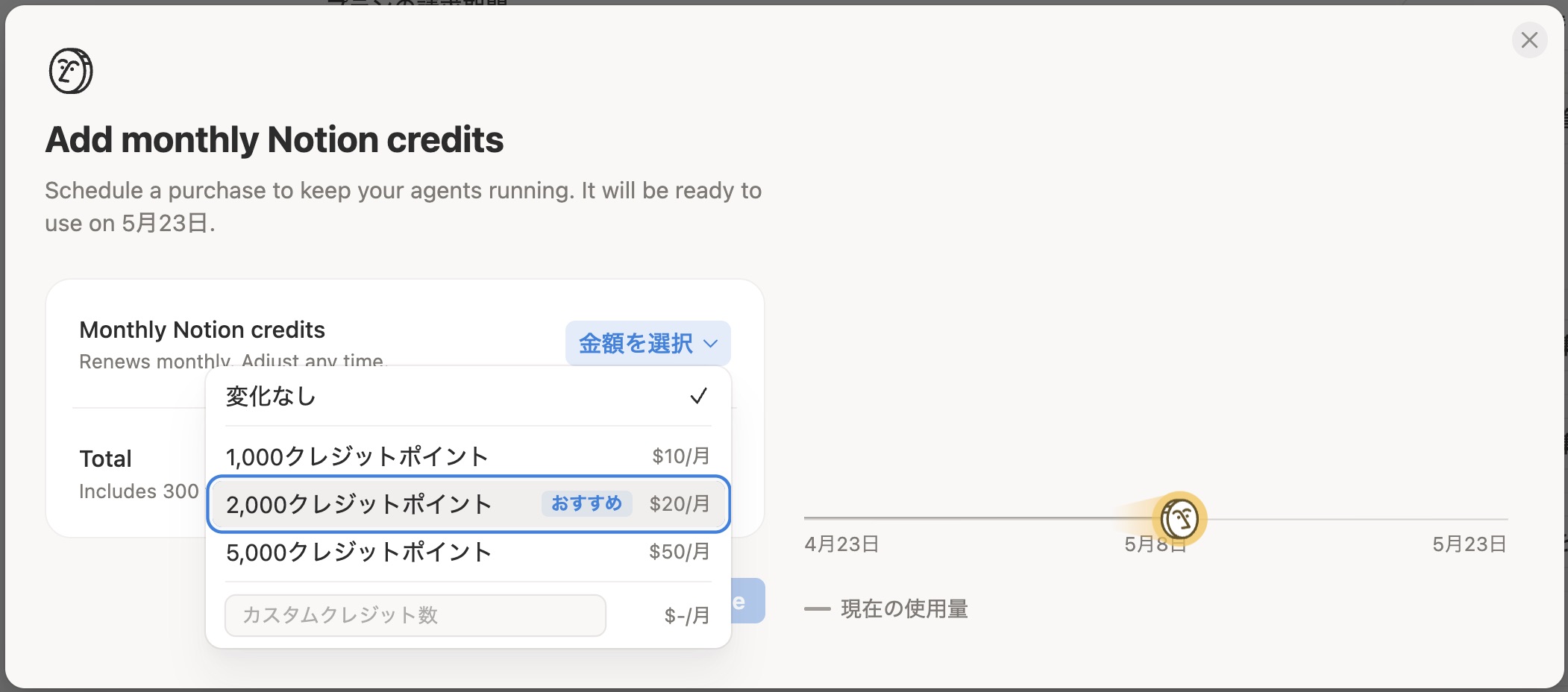 クレジット購入画面